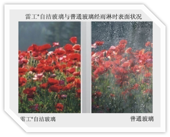 6a310251e5d80.png